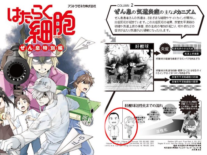 皆さまへ❤️医学監修しました「はたらく細胞」ぜん息編が、ぼくらの大学公式HPからご覧頂けるようになりました❤️下図⤵︎⭕