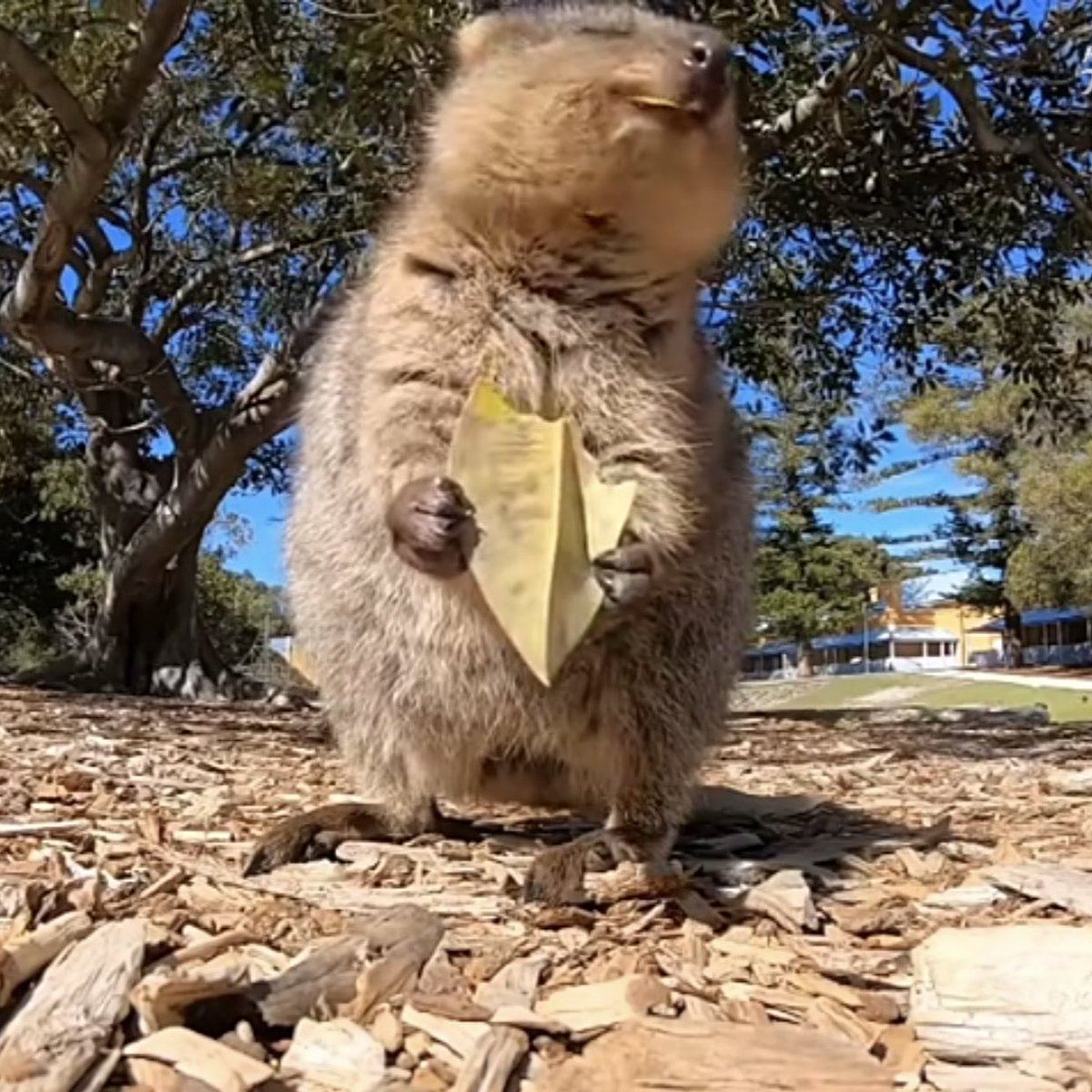 还好没继续空gmt了，狗庄