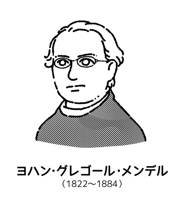 今日はメンデルの誕生日〜〜と思いきやそれは書類上のことで、メンデルの家族も本人も「誕生日は7/22」と書いてるという、なんだかややこしい日です! 