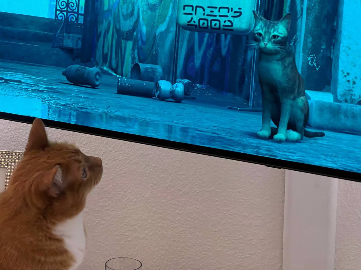 #StrayGame