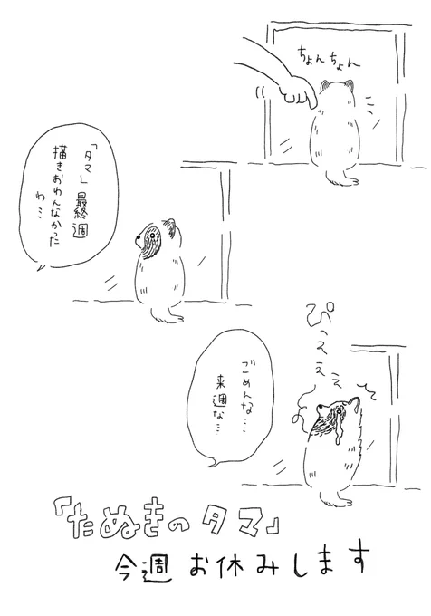 「たぬきのタマ」最終週ですが、用意してたネームを直しながら描いておりまして、来週に延期します!
ラストは描くの楽しそうでございます(まだ作画入れてないよ〜) 
