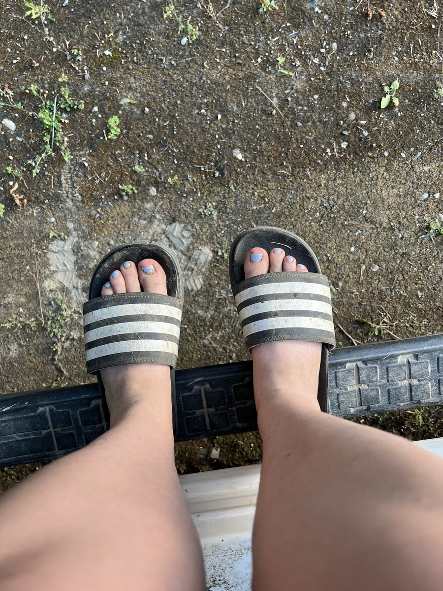 ShowMeYaFeeties's tweet photo. Dirty farm feet 🐮🦶🏻☀️#feet #farmfeet #dirtyfeet #dirtytoes #feetfinder #buyingfeet #sellingfeet #sellingpics #sellingvids #customcontent #sellingcontent #buyingcontent #soles #softsoles #dirtysoles #wrinklysoles #toesucking #toelicking #footjob #footj #FOOTFETİSH #footcuck https://t.co/4ayAXOoJS7