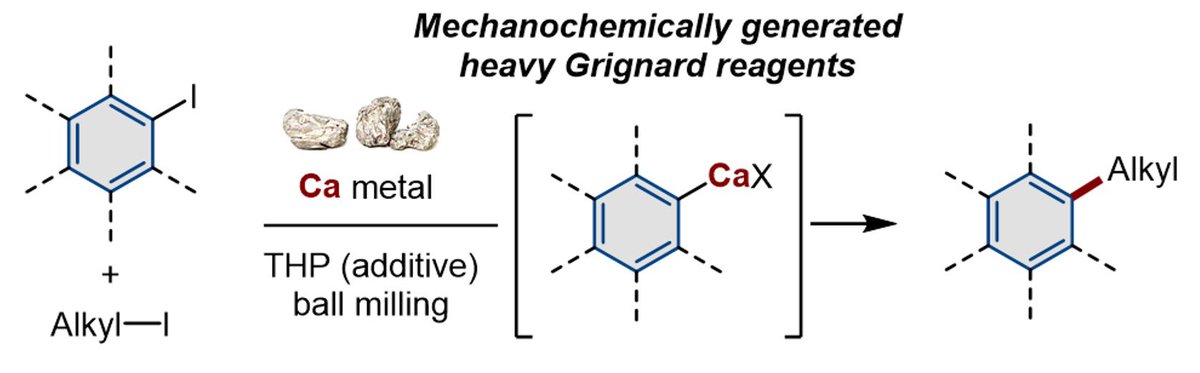 k0j1chem's tweet photo. Our new @Mechanochem  paper is out in @angew_chem! Here we show that mechanochemistry allows the generation of calcium-based heavy Grignard reagents (Ar–CaX) from commercially available, unactivated calcium metal. Congrats to the team!!
https://t.co/vPoWGcp68z https://t.co/5y0sb5tUC9