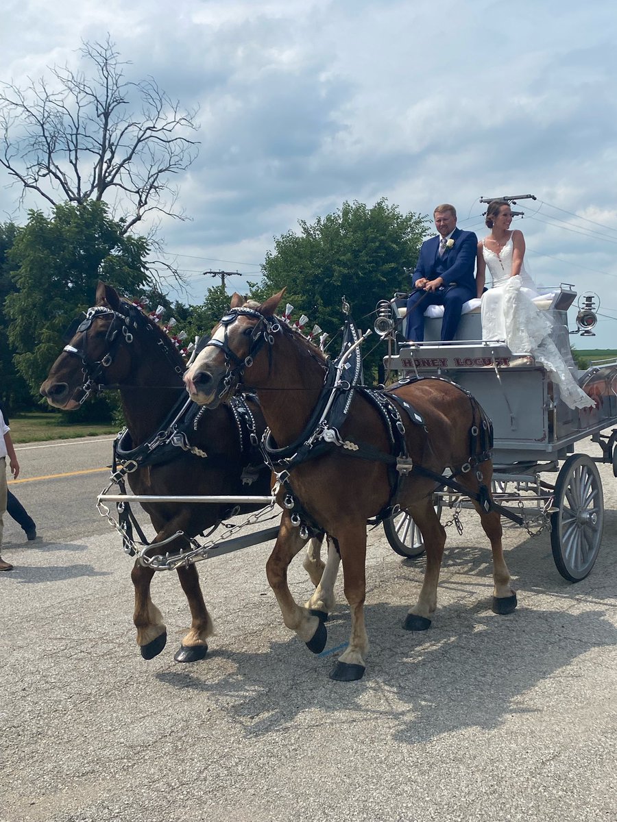 TolenCropInc's tweet photo. Beautiful bride #3 !
Gorgeous day with family and friends and gained another wonderful son -in-law!
Madison &amp; Joel Huff https://t.co/5kUfyQlngb