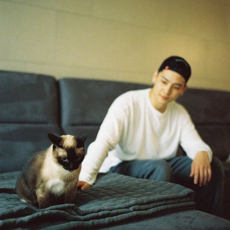 TeamGOT7Vote_TH's tweet photo. IDOLCHAMP
🐈CAT DONATE PROJECT 💟
โหวตให้ #JAYB #GOT7

🥇ผู้ชนะจะได้รับ
- บริจาคเงินสนับสนุนโครงการอาหารแมวข้างถนนภายใต้ศิลปินที่ชนะ
-ประกาศผู้ชนะผ่านสื่อออนไลน์

✅1โหวตใช้ 20 ❤️💙
✅โหวตได้ไม่จำกัด
✅DMรับเฉลยควิซ
⏰ปิดโหวต26 ก.ค 21.59น
https://t.co/tr3Op7afnC
@jaybnow_hr @GOT7 https://t.co/HBoJuVs60o