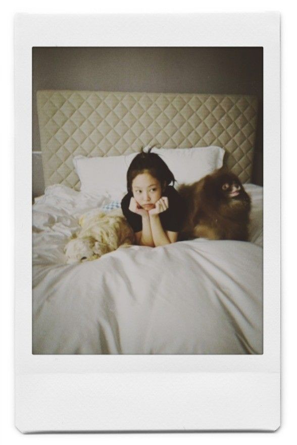 JENNIE ALLIANCE 🧛♀️ tweet media