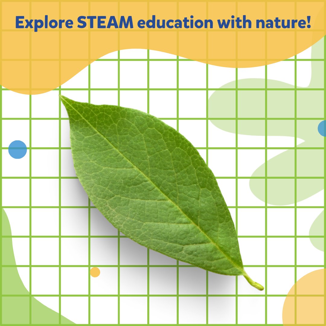 Nature + Math + Art = Cool way to teach spatial relationships and reasoning!