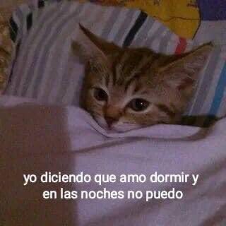 cxrrly's tweet photo. Mood https://t.co/UMRmiaZY8o