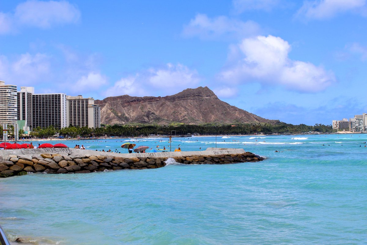 Will Ricks tweet media