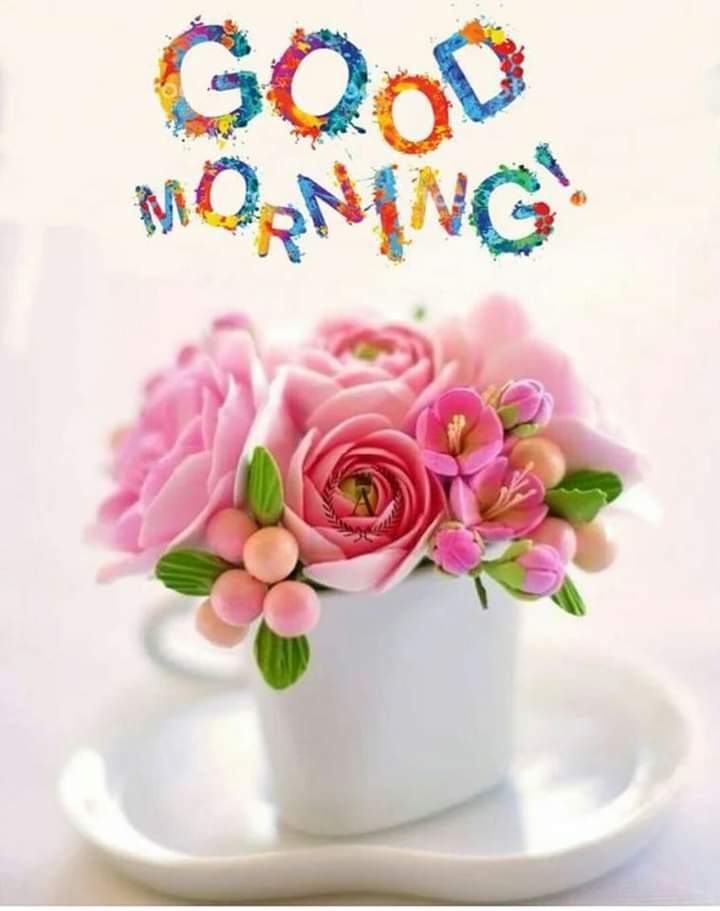 Mughal Builders 👷‍♂️ (@muhamma31242421) on Twitter photo 