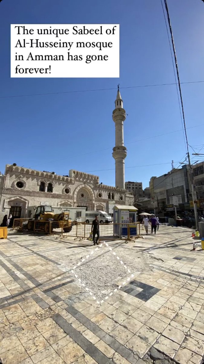 Aroub Soubh عروب صبح 🐢🌱 tweet media