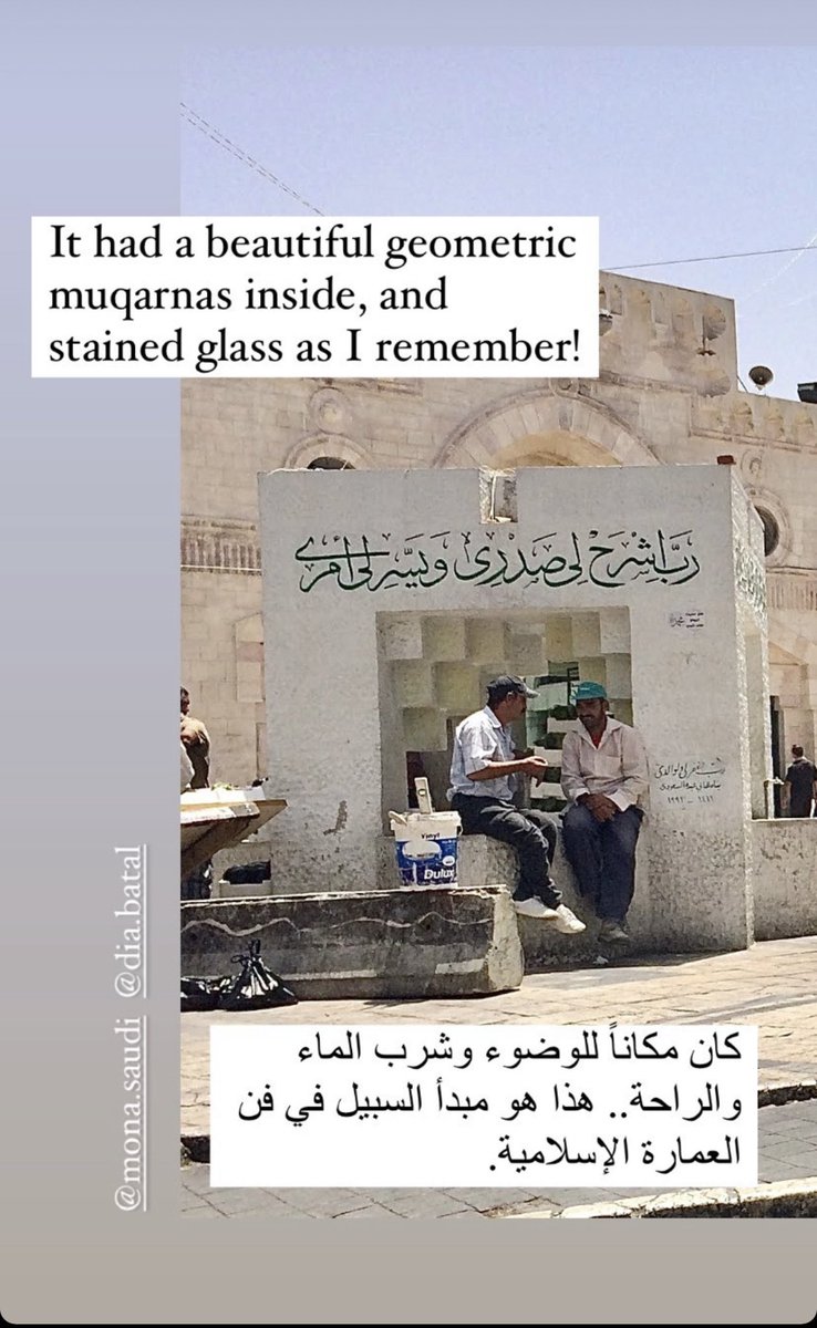 Aroub Soubh عروب صبح 🐢🌱 tweet media