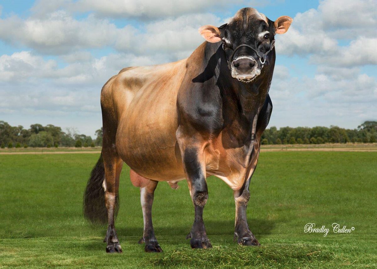 Ishmael Rupanga tweet media