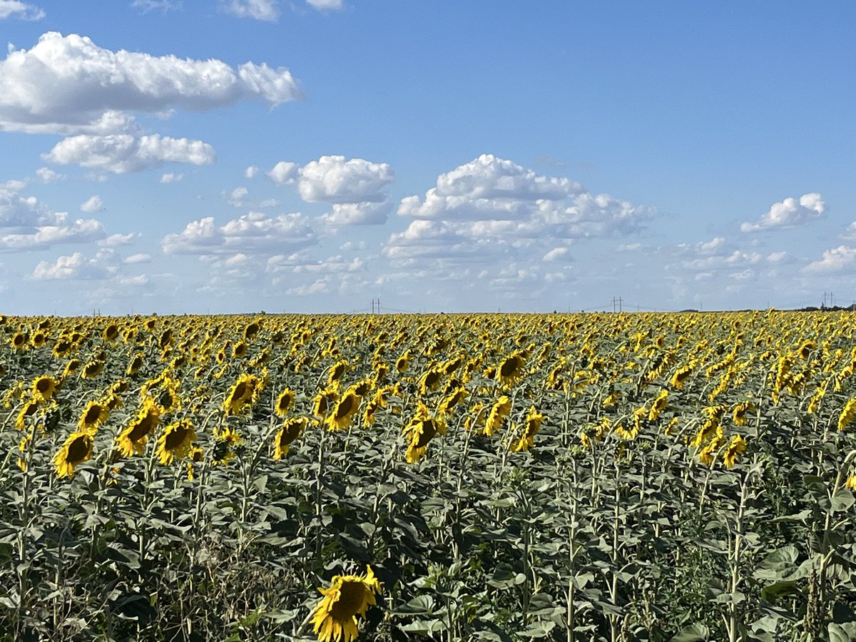 Diese unglaubliche Weite