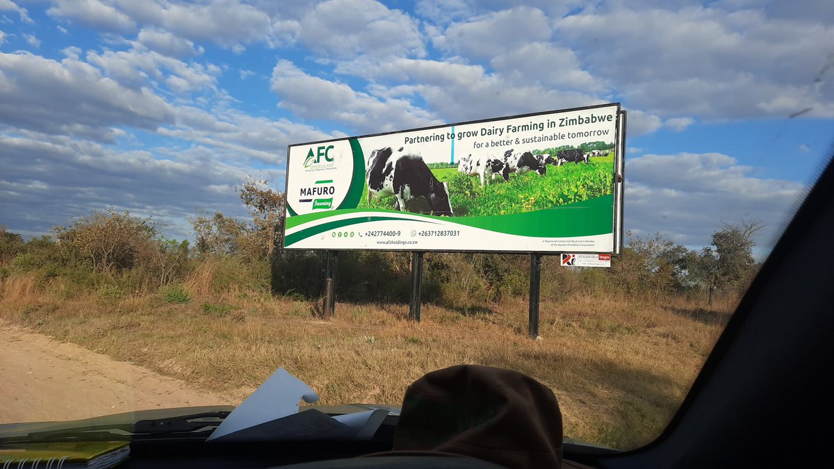 Ishmael Rupanga tweet media