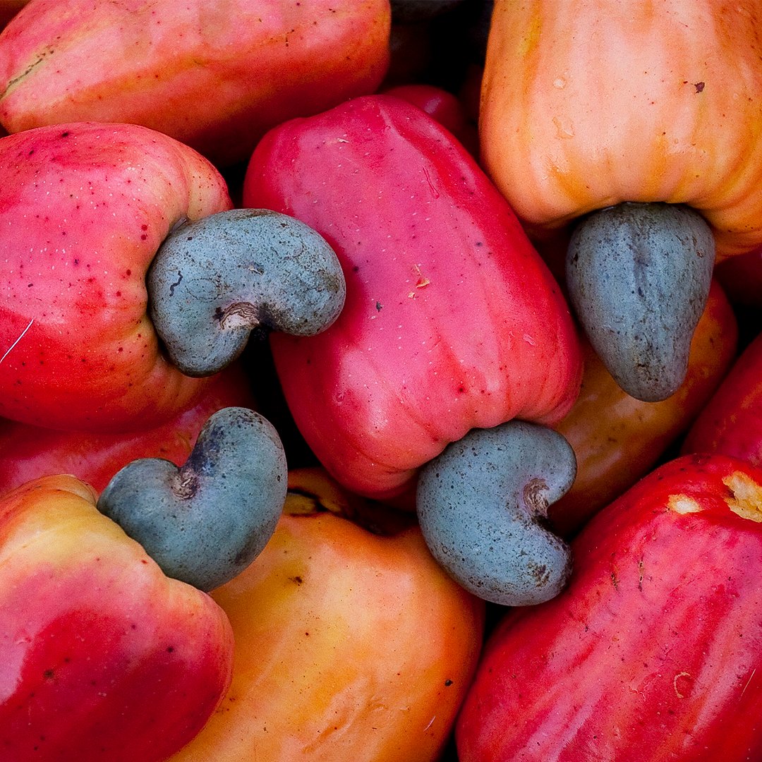 Do you know how much cashew nuts cost? We learn what makes these nuts