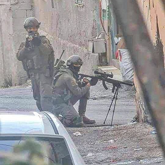 EYE ON PALESTINE tweet media