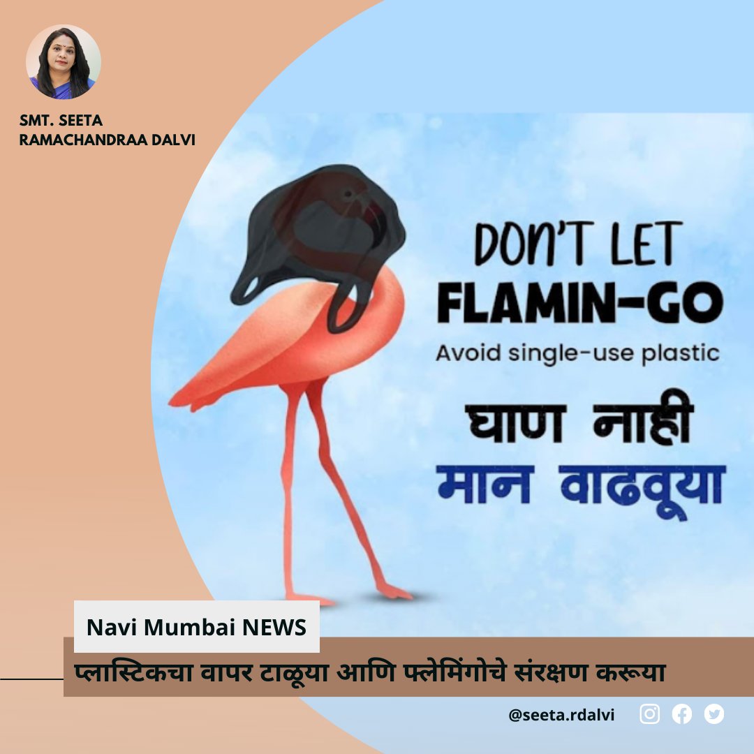 SeetaDalvi's tweet photo. Navi Mumbai's pride is precious, let's protect it through our actions - SAY NO TO PLASTIC!
.
.
#school #srdalvifoundation #tchrtalk #Maharashtra #zpschool #navimumbai #mumbai #newmumbaimahanagarpalika #independenceday #flamingo #saveenviorment #avoidsingleuseplastic https://t.co/BQqP4k54Nf