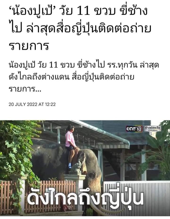 เลิกล้อคนไทยว่าขี่ช้างได้แล้ว!
น้องปูเป้ : hold my beer