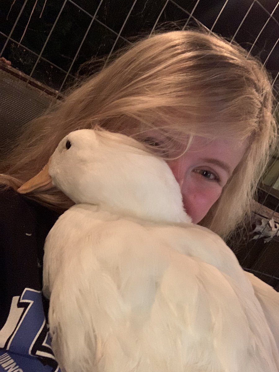 Me within the first month of becoming a @ChaseBriscoe_14 (+ @MarissaBriscoe_) fan… *must make my ducks friendly & ensure they appear loving* but also wear a @StewartHaasRcng shirt when handling in case we ever have visitors 🥹😅😂* Sincerely, Petra + Levi 🦆