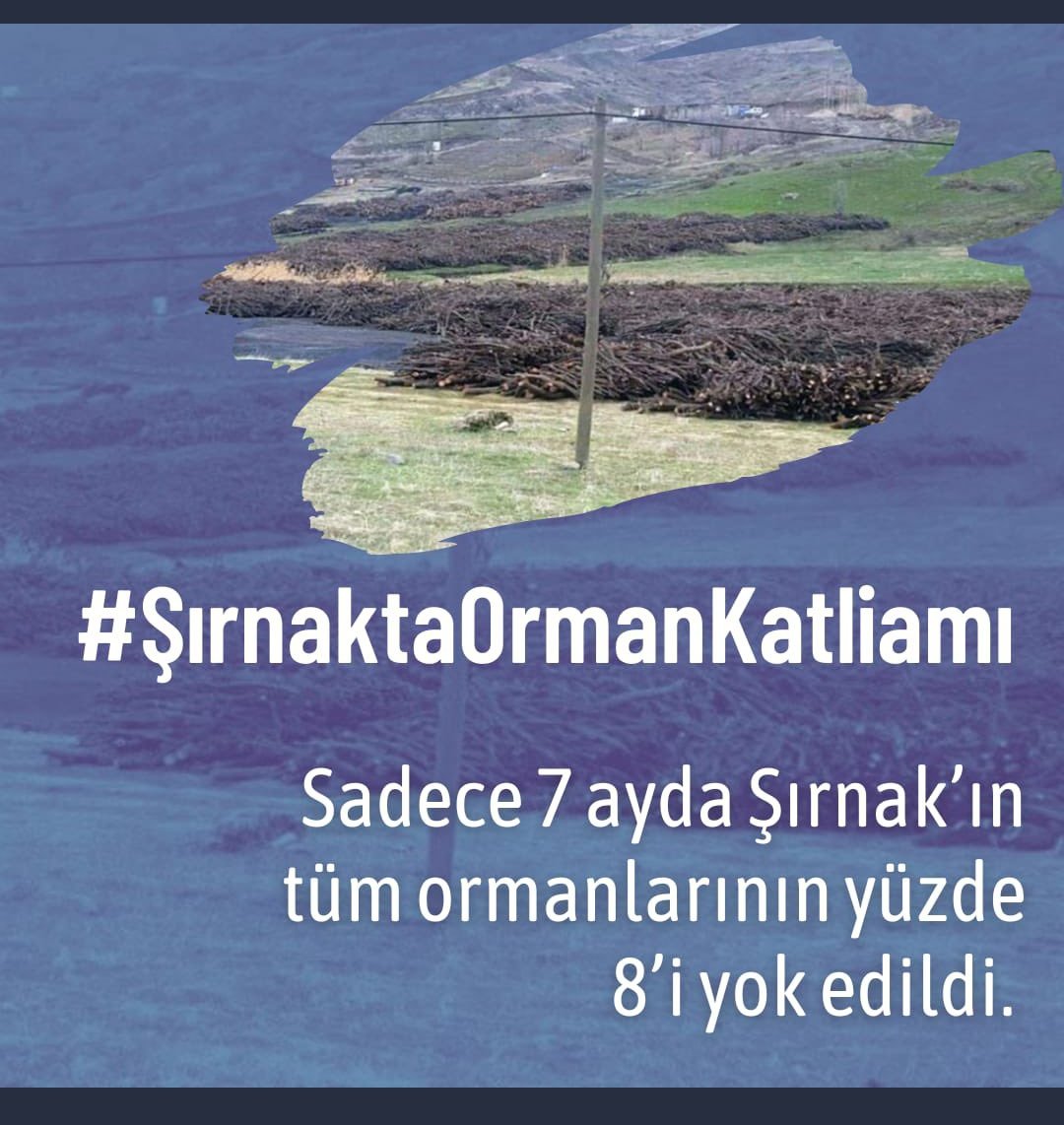 Barbar olmakta bunlardan daha iyisini dünyanın hiç bir yerinde bulamazsınız #SırnaktaOrmanKatliamı
