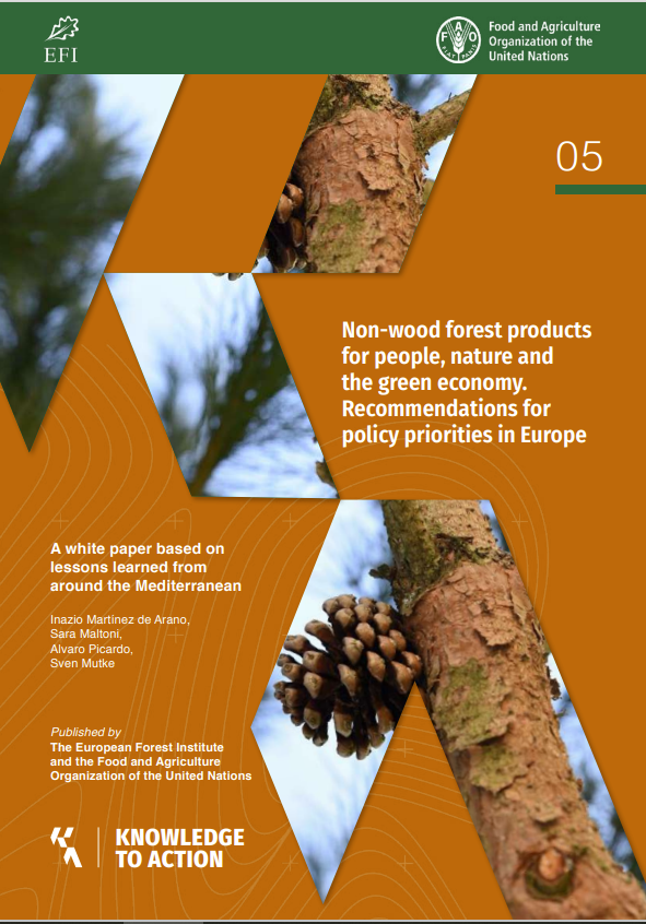 europeanforest's tweet image. "Non-wood forest products for people, nature and the green economy" outlines the extent to which these products such as nuts, berries and mushrooms are embedded in daily life and the actions needed to leverage their potential more widely.

Read: doi.org/10.36333/k2a05