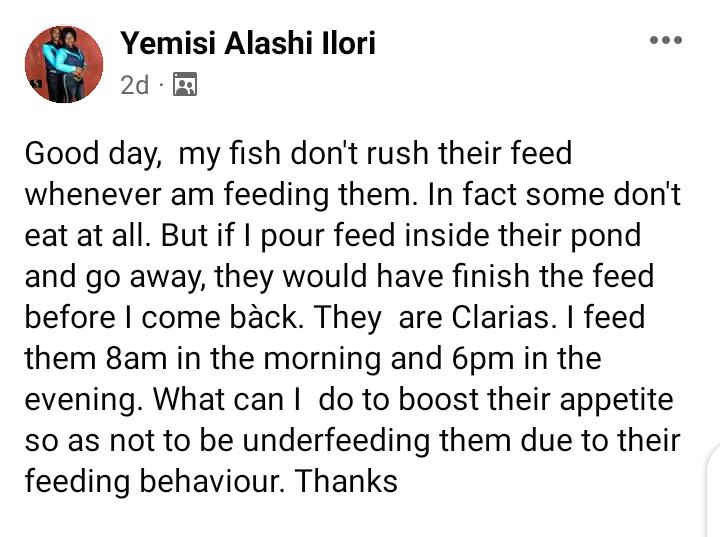 catfishpreneur's tweet photo. 👌
#Catfishpreneur
#Fishfarmingtips https://t.co/8Yke8Tw23h