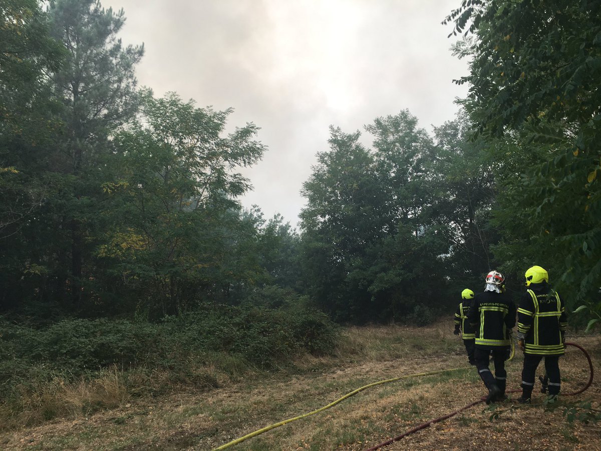 SDMIS69's tweet photo. [RENFORT FDF] 👨‍🚒🔥

Des nouvelles des SP du @SDMIS69 engagés depuis samedi en Gironde sur les feux de Landiras et de la Teste. Les protections d’habitations s’enchaînent depuis 3 jours maintenant avec notamment une action pour la sauvegarde de la corniche de la dune du Pilat. https://t.co/p2rjCgGu9i