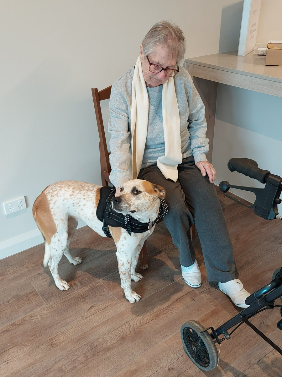 We are pleased to see our first residents move into St John’s Rise Retirement living in Mooroolbark. Welcome everyone who will call St John’s Rise home. Meet our new community members, Yvonne and her companion Iggy!
#stjohnsriseretirementvillage #benetas #newhome