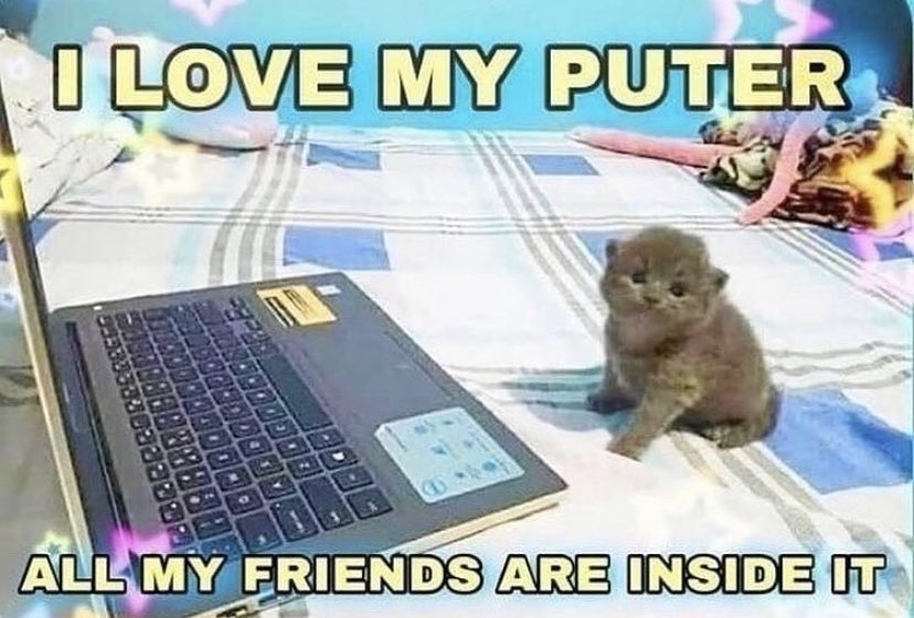 LiterallyMeCats (@literallymecats) on Twitter photo 