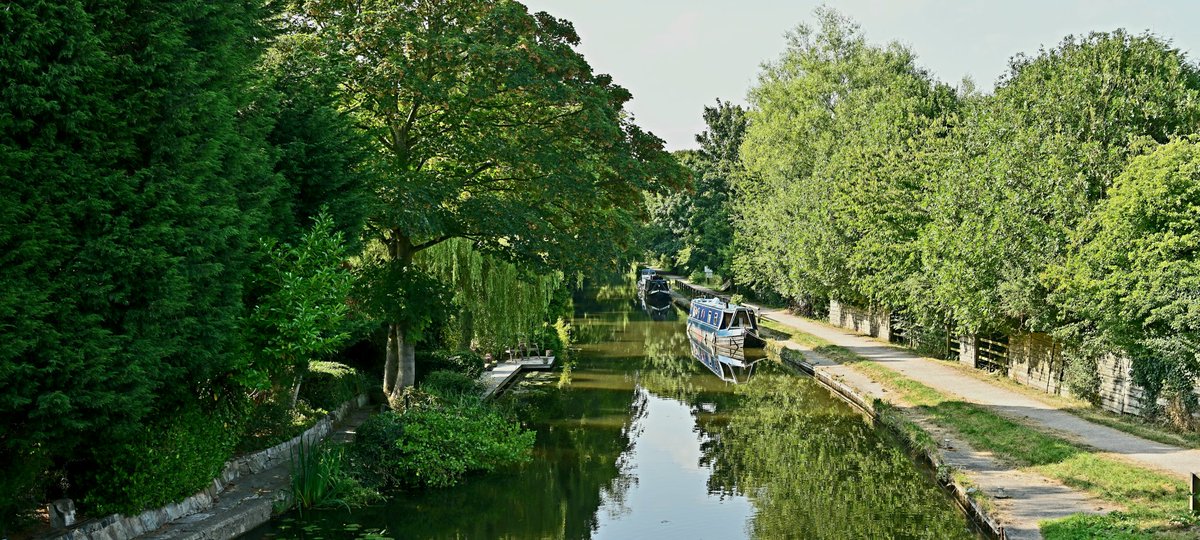 Dave Tonge tweet media