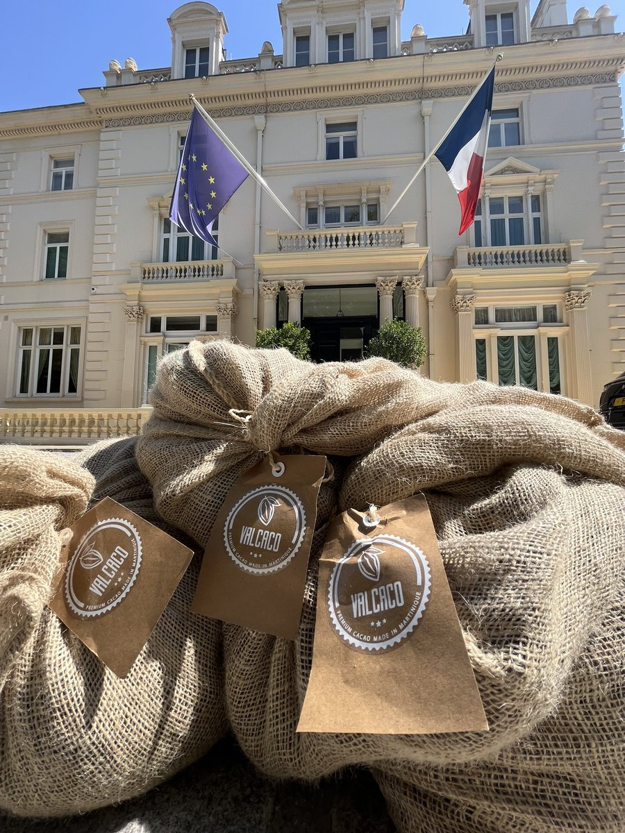 gilquillot's tweet photo. 🍫 Fresh harvest of cocoa beans delivered from Martinique @franceintheuk. We are all ready for a #newseason of chocolate with @association_valcaco cocoa beans 😋
#cocoa #cocoabeans #martinique #greenembassy #valcaco #agroforestry #organic #chocolate #chocolat #cacao https://t.co/MfEvBlunF6