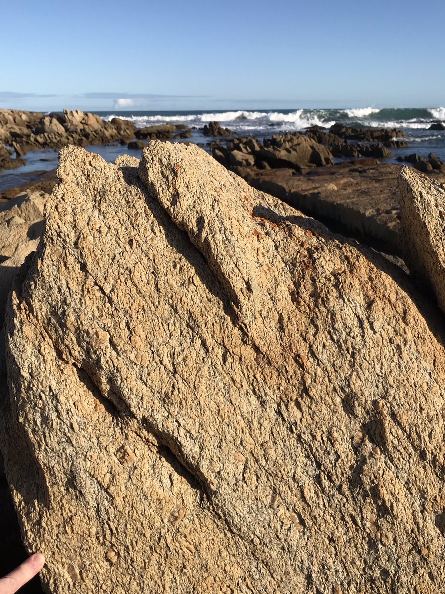 sandramcgeo's tweet photo. And back to the hard rock geology with my favourite S-C fabric in the deformed Devonian Cape Conran granite π€© #CapeConran https://t.co/nK2uoNqojz