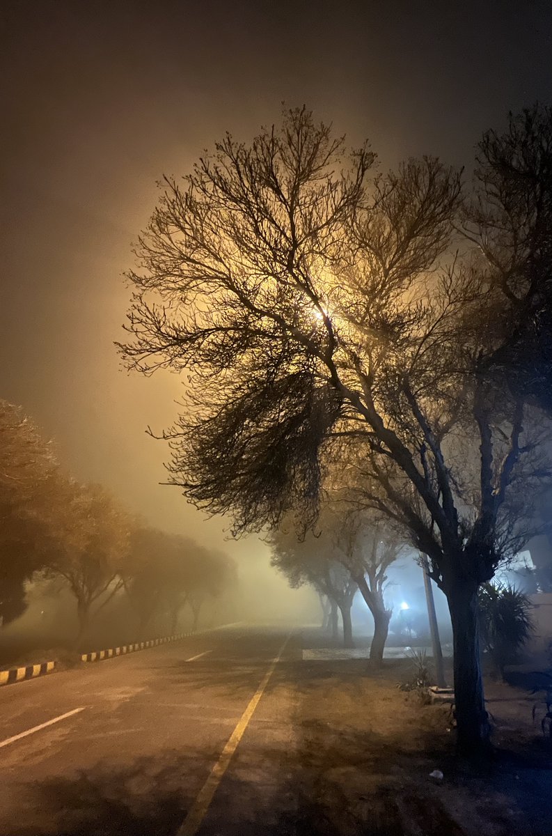 TColorbox's tweet image. Good morning!  10 hours remain in the auction ☀️
'Enchanted 01' and 'Colors of the sun 01'
Photography on @exchgART
 
Starting bid ◎ 1
exchange.art/artists/TheCol…