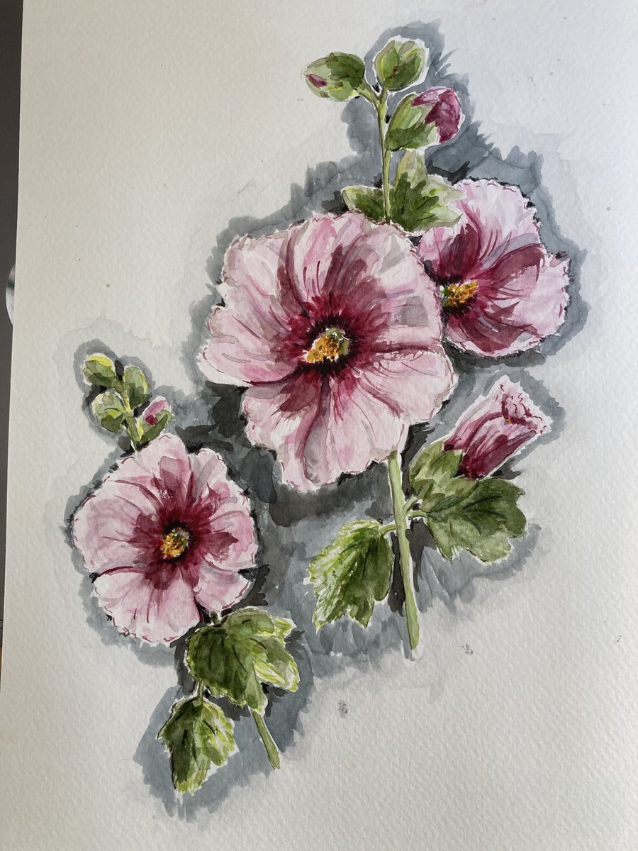 Mumbleys's tweet image. Another attempt at something a bit larger. Been a bit defeated by my efforts at perspective but pleased with the bud on the right….