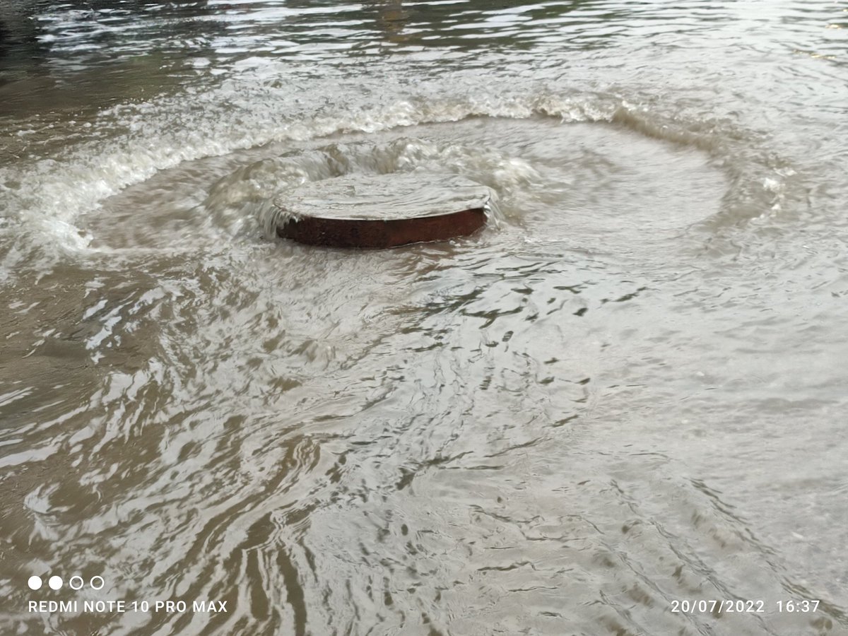 Divya Chawla tweet media