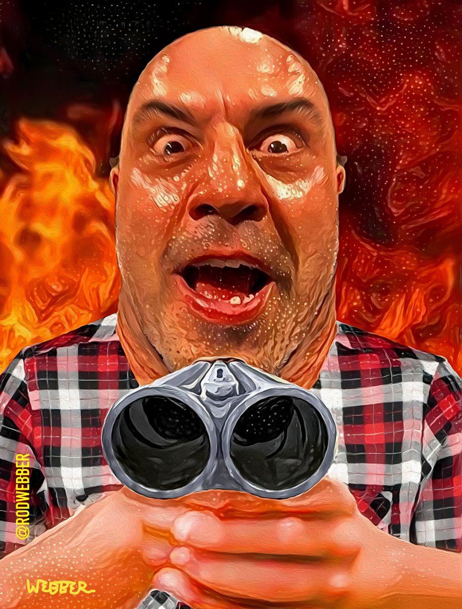 RodWebber's tweet image. #JoeRogan&apos;s #HomelessSolution