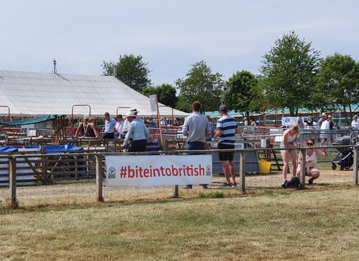 Duncan Berkshire (@duncanberkshire) on Twitter photo Great to be at the <a href="/DriffieldShow/">Driffield Showground</a> and getting the word out about #BiteIntoBritish - make sure you look out for British produce when shopping to support UK farmers š¬š§šš
<a href="/SaveGBBacon/">Save British Bacon</a> <a href="/NatPigAssoc/">NPA</a> <a href="/NFUtweets/">National Farmers' Union</a> <a href="/markblakeston/">Mark Blakeston</a> <a href="/FutureFarmerYAS/">Future Farmers</a> <a href="/BiteintoBritish/">BiteintoBritish</a> Great to be at the <a href="/DriffieldShow/">Driffield Showground</a> and getting the word out about #BiteIntoBritish - make sure you look out for British produce when shopping to support UK farmers š¬š§šš
<a href="/SaveGBBacon/">Save British Bacon</a> <a href="/NatPigAssoc/">NPA</a> <a href="/NFUtweets/">National Farmers' Union</a> <a href="/markblakeston/">Mark Blakeston</a> <a href="/FutureFarmerYAS/">Future Farmers</a> <a href="/BiteintoBritish/">BiteintoBritish</a>