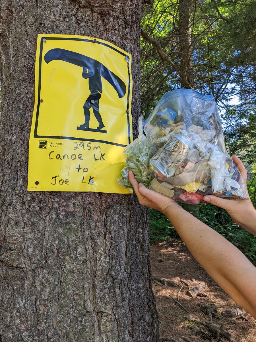 Lisa Raby tweet media