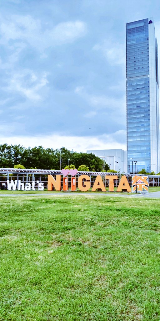 すずめ🍃🐕 tweet media