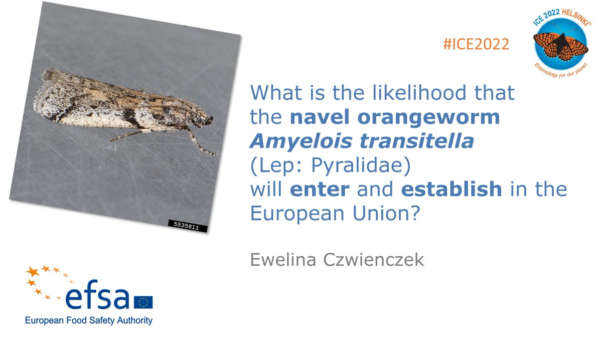 #ICE2022 in Helsinki! Symposium on Predicting New Pests Introductions @EFSA_EU Ewelina Czwienczek illustrated a model to evaluate entry and establishment in the EU of a lepidopteran pest of walnuts and almonds @ICE2020Helsinki https://t.co/gXb1Q2r7Ux https://t.co/efcJOvWwpu