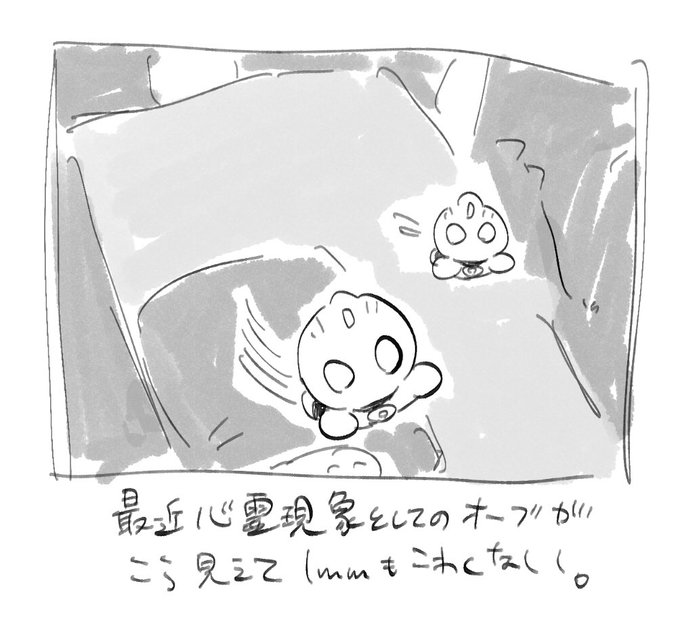 オーブがめっちゃ写ってる心霊写真もつまりめっちゃオーブがいる写真に変換されるのでむしろ可愛いまである 