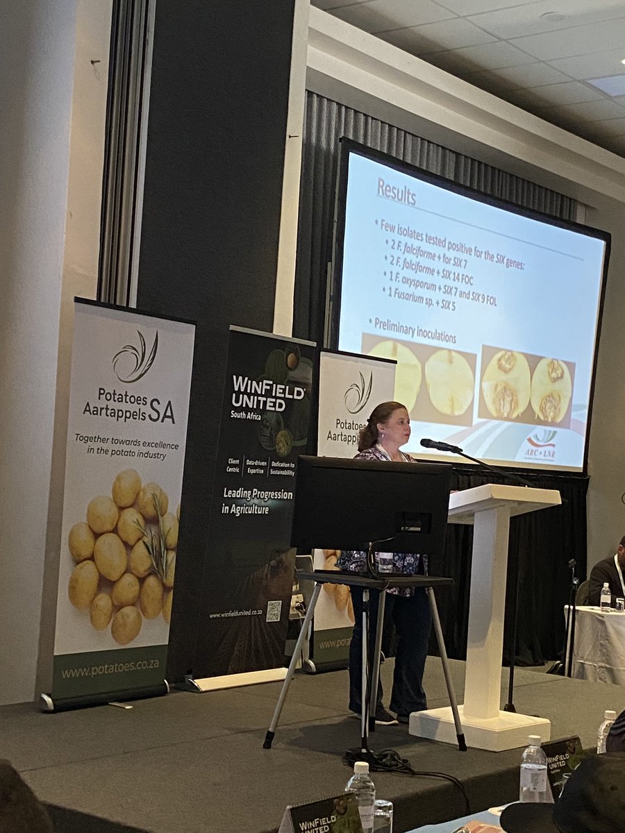 It’s happening at the #PotatoesSA Research Symposium 2022! 🥔🏆

#ThePerfectPotato

<a href="/foodformzansi/">Food For Mzansi</a> <a href="/MarketJoburg/">Joburg Market</a> <a href="/potatoes_za/">Potatoes South Africa</a>