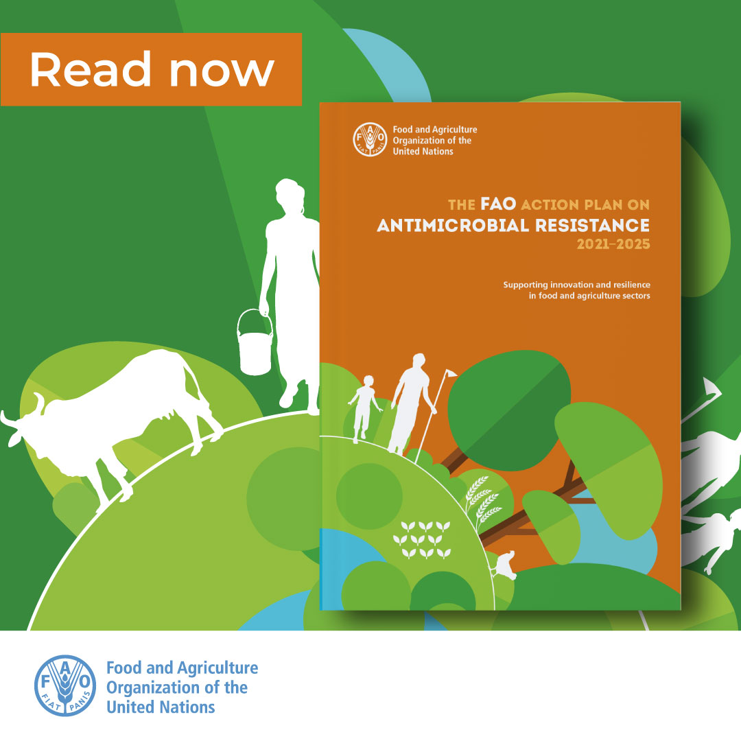 The <a href="/FAO/">Food and Agriculture Organization</a> Action Plan on Antimicrobial Resistance 2021-2025 contributes to:

✅Building resilient and sustainable agrifood systems
✅Reducing the need for #AntimicrobialResistance

Find out more here 👉bit.ly/3yIgowO

#COAG28 #GlobalGoals