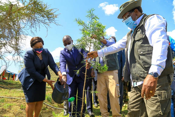 KenGenKenya's tweet photo. Initiatives such as the Green Initiative Challenge (GIC), launched in 2013 through KenGen’s Foundation’s environmental pillar have restored several Arid and semi-Arid into green areas, through tree growing targeting schools. #KenGenClimateMitigation #EnergyChampion ^EM https://t.co/8ong2eTN8V