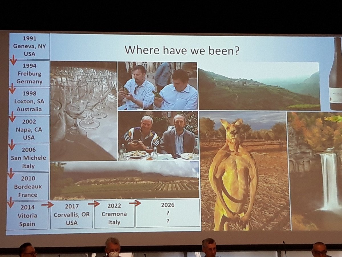 GianfRomanazzi's tweet photo. #DavidGadoury overviews start, path and perspectives of #GDPM community at #GDPM2022 https://t.co/oBsnNZia8v