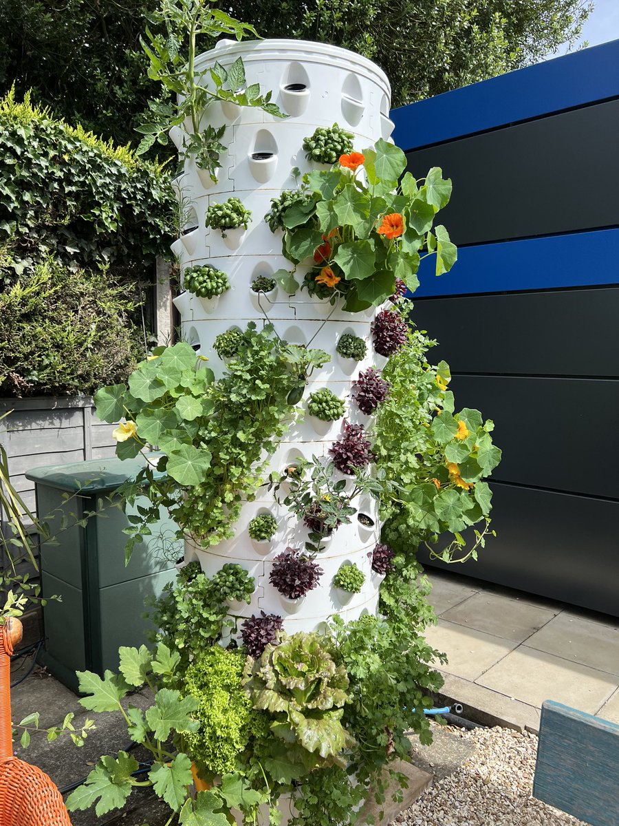 Our Aponix towers <a href="/m_a_r_c_o/">Marco Tidona</a> are full of amazing tasting produce and ready for harvesting this week . I think I will start from the back of the tower as I don’t like destroying my artwork 🤣🤣🤣🤣😎
Being only fed by water we had no trouble with the very extreme hot weather.
