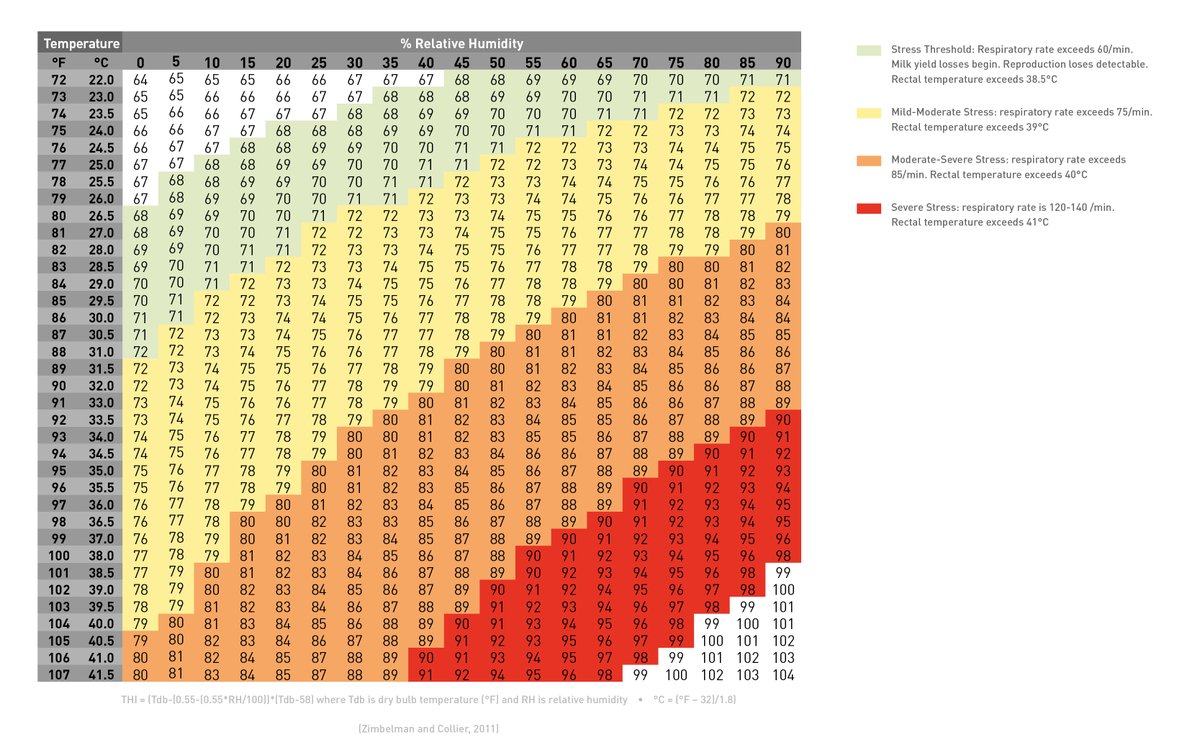 Standing and bunching is another sign of #heatstress in grazing #teamdairy herds. When the temperature heat index is over 62, ensure that: 
🌳Cows have access to shade in fields
💧Sufficient water is available
🐮Avoid bunching of cows in collecting yards