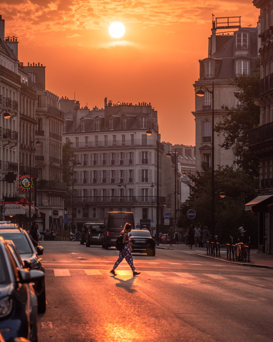 Philippe Roques tweet media