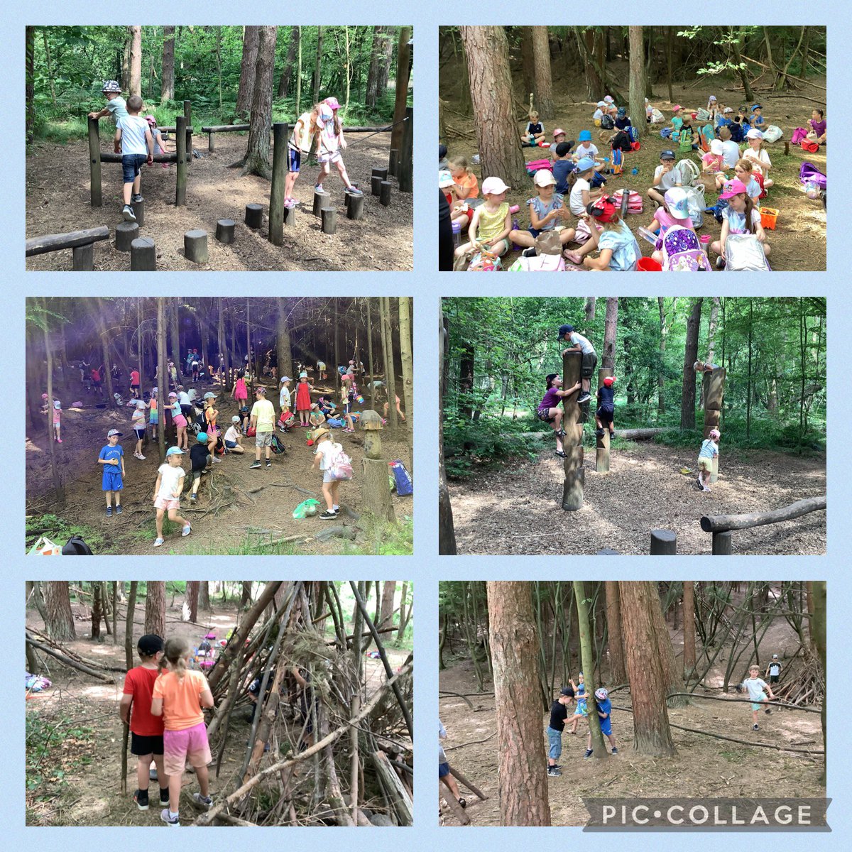 ShotleyBPrimary's tweet photo. Year One had a wonderful time yesterday!🌳🌿☀️ https://t.co/idzIXOR8Tx